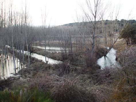 Junta ríos Cubillo-Arquillo10