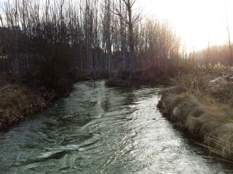 Junta ríos Cubillo-Arquillo4
