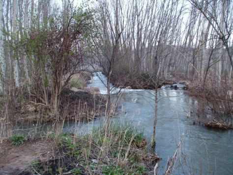 Junta ríos Cubillo(d) y Campillo2