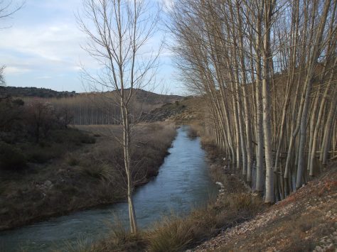 Junta ríos Cubillo-Arquillo7