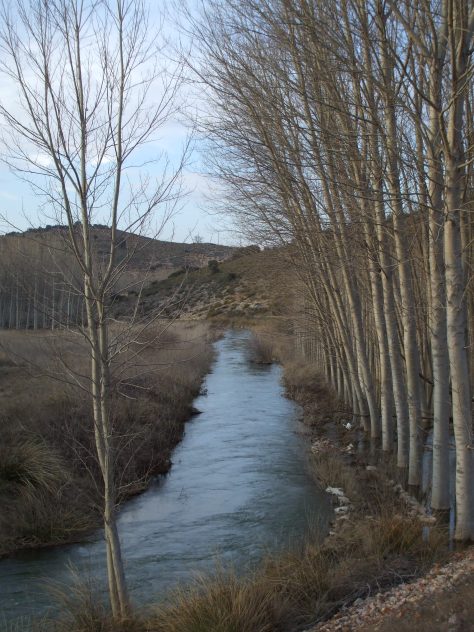 Tras la Junta ríos Cubillo-Arquillo
