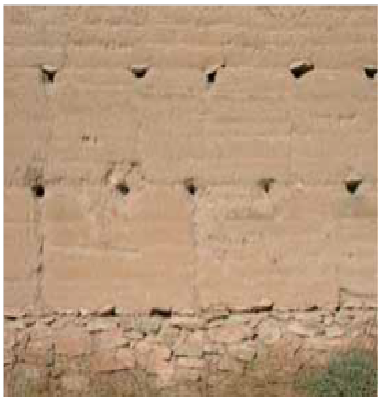 muro de tapial